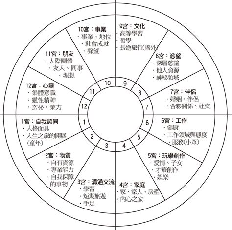 十宮飛星|獨一無二的人生拼圖:命盤第十宮